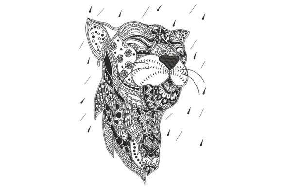The Cougar 2: A Designer’s Review for Seasonal Product Collections